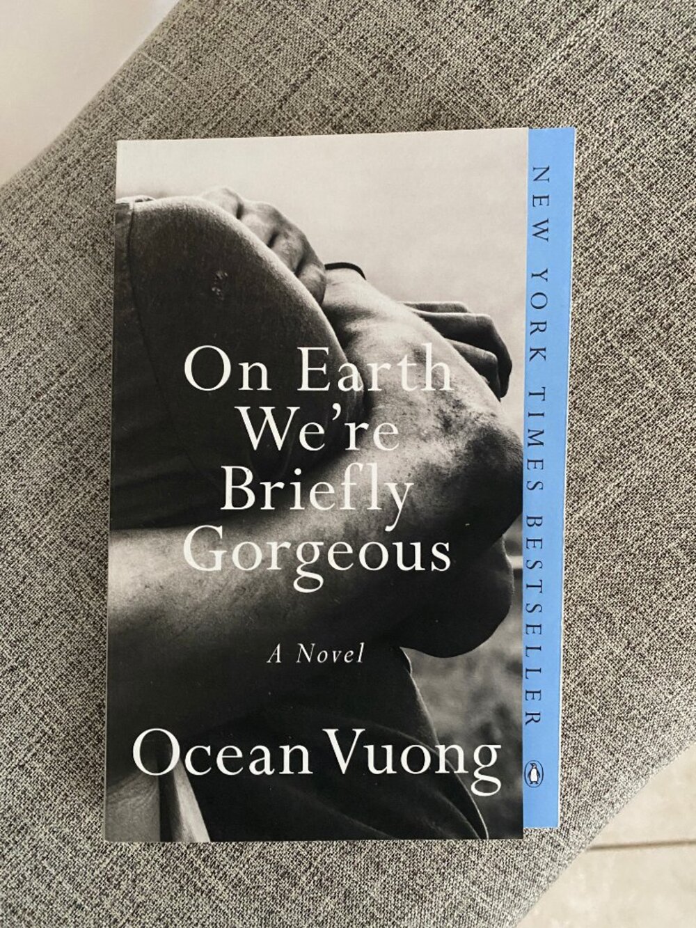 On Earth We're Briefly Gorgeous : A Novel by Ocean Vuong (2021, Trade Paperback)